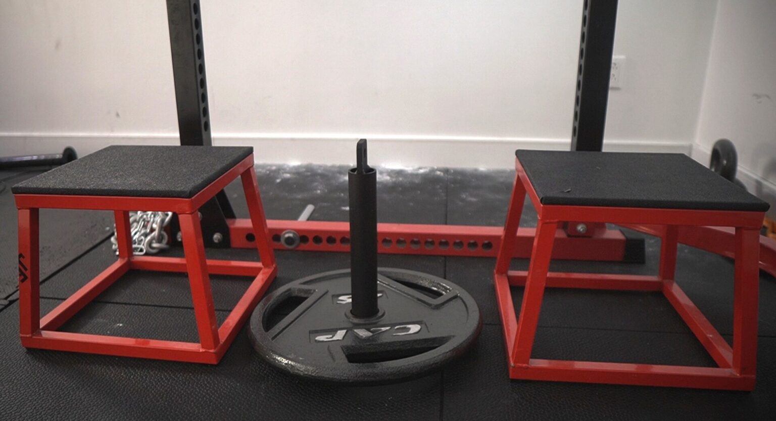 The Benefits Of Belt Squats 2024